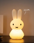 Mr Maria - miffy shines