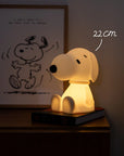 Mr Maria - snoopy first light