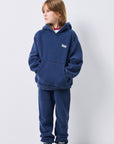 American Vintage - izubird hoodie - cosmos