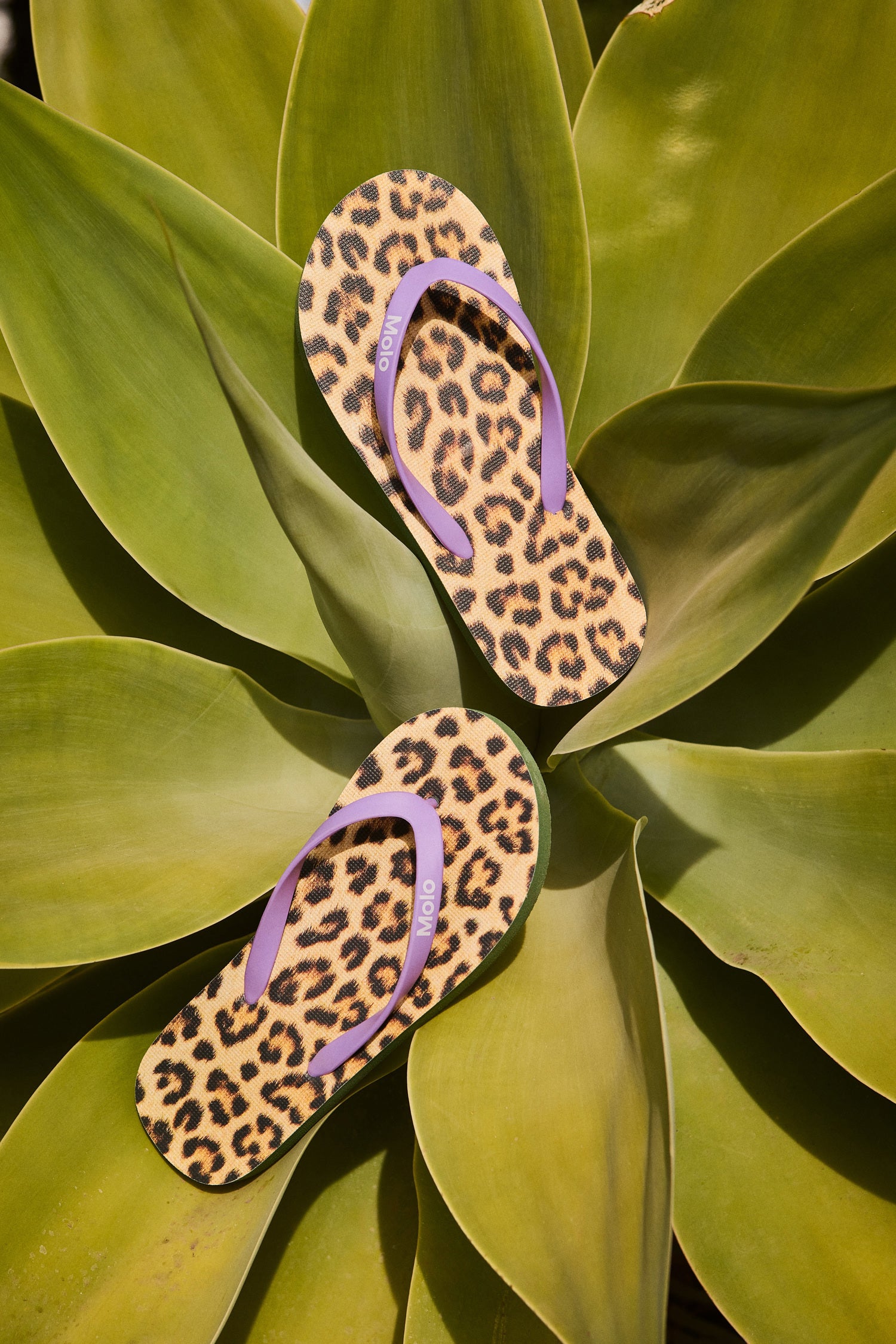 Molo - zeppo flipflops - leopard