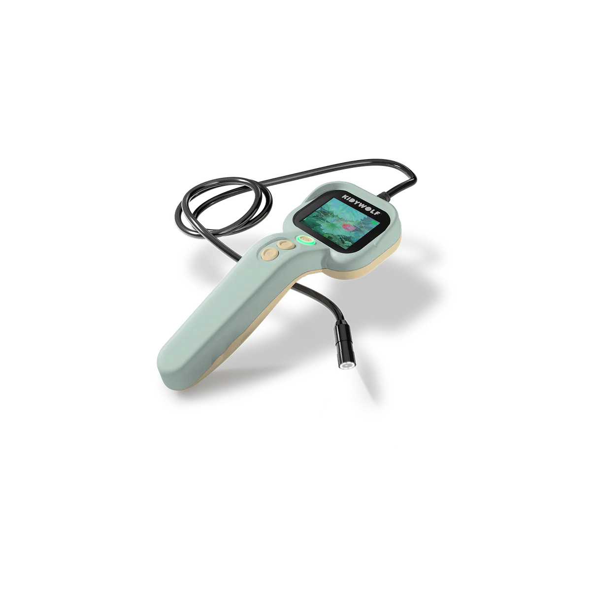 Kidywolf - kidyexplore - spy cam