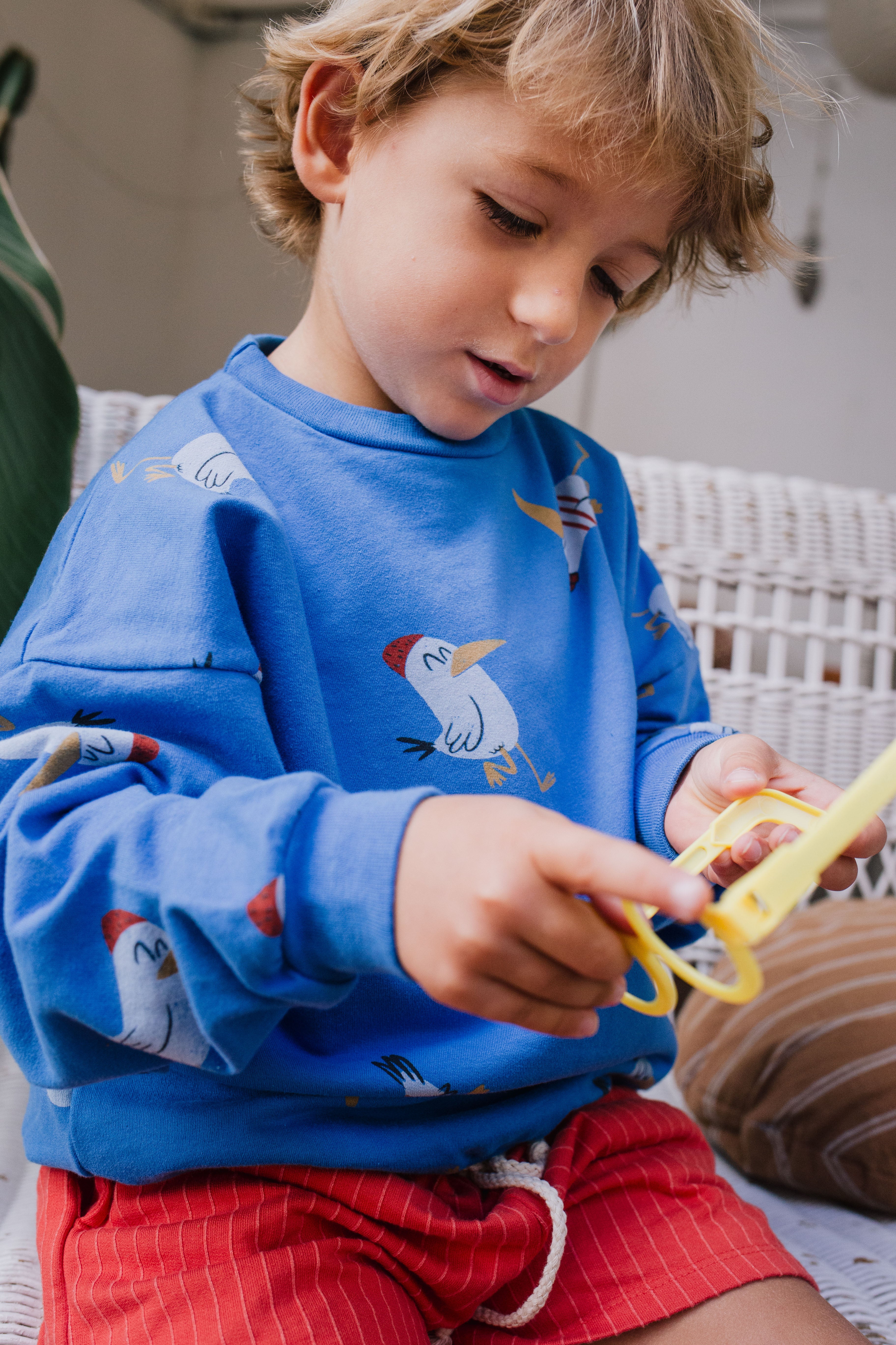 Lotie Kids - sweatshirt - seagulls allover - royal blue