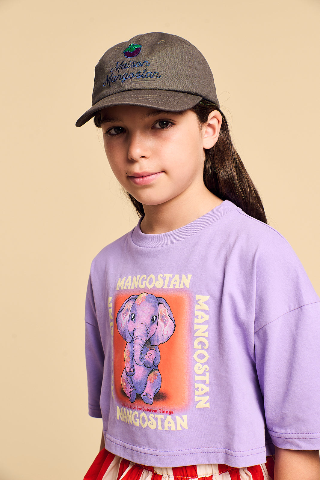 Maison Mangostan - sweet elephant crop tee - lilac