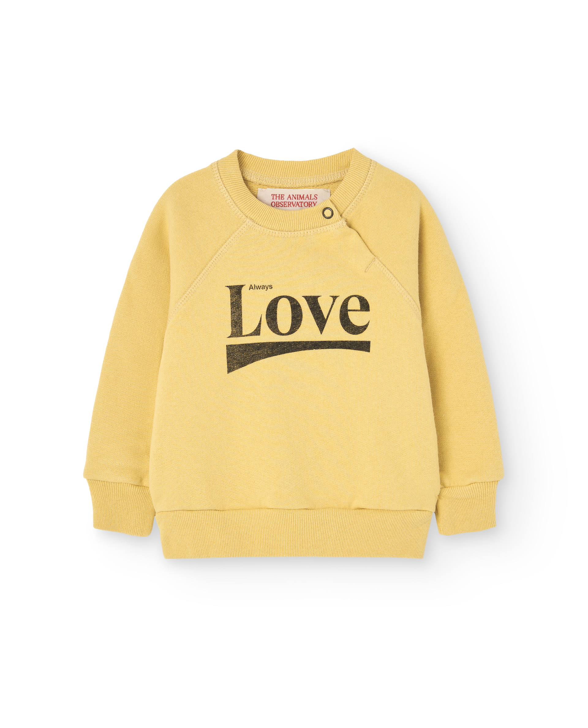 The animals observatory - Jackal baby sweatshirt - yellow