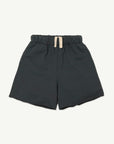 Main Story - fleece skate short - dark shadow