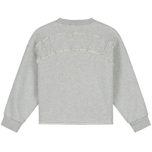 Charlie Petite - lux sweater - grey melange