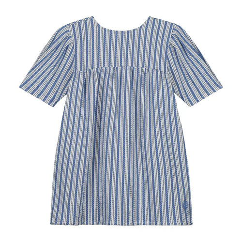 Charlie Petite - lacy dress - blue/white stripes