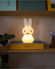 Mr Maria - miffy shines