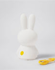 Mr Maria - miffy shines