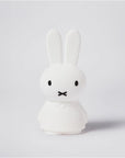 Mr Maria - miffy shines