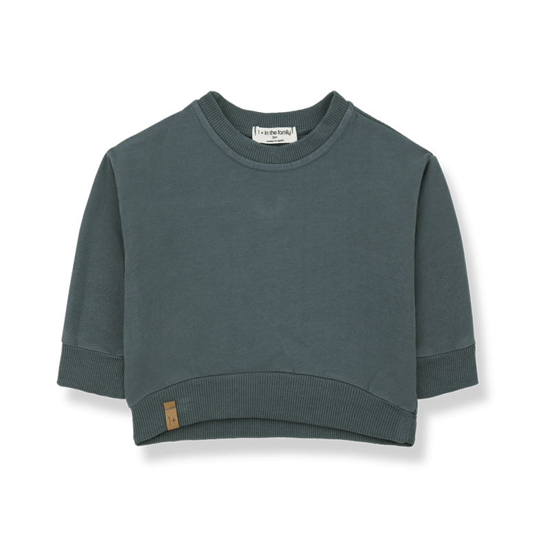 1+ in the family - esteban - fleece sweatshirt - petroleum