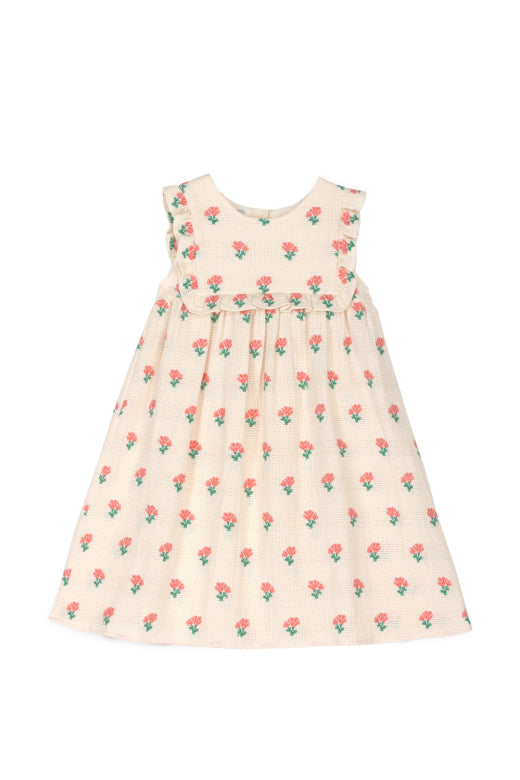 Mipounet - coraline frill dress - jacquard - ecru/coral