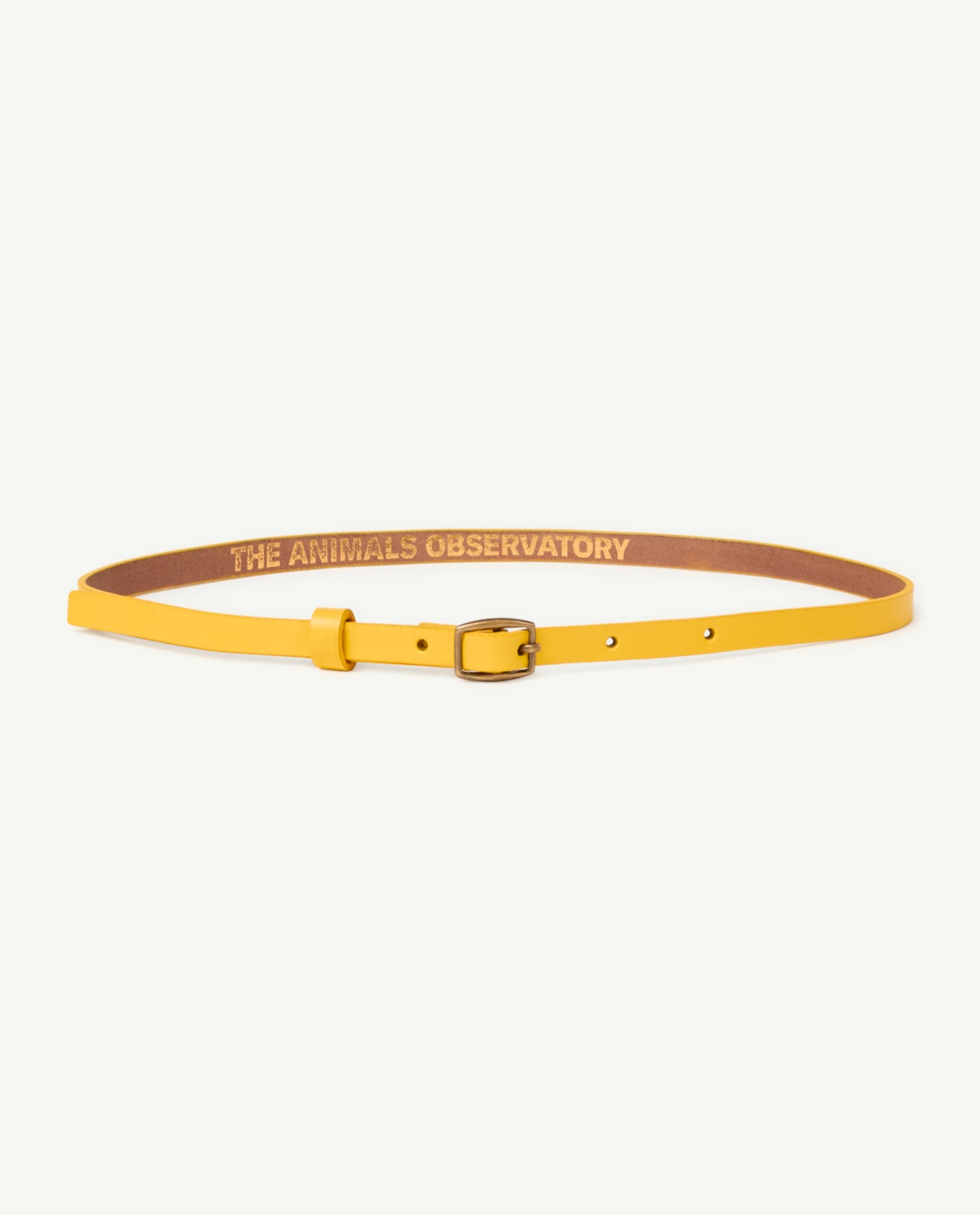 The animals Observatory - ibis kids belt - yellow